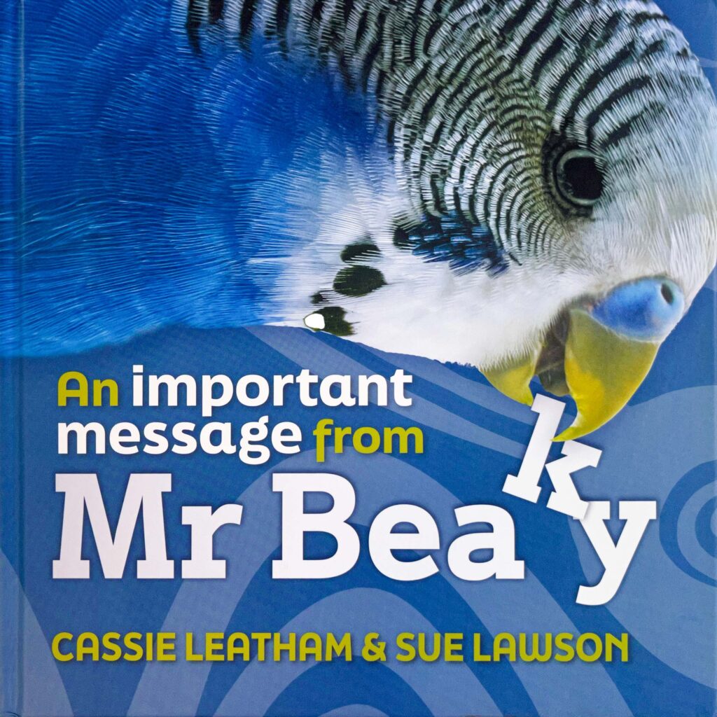 MrBeaky Book Cover