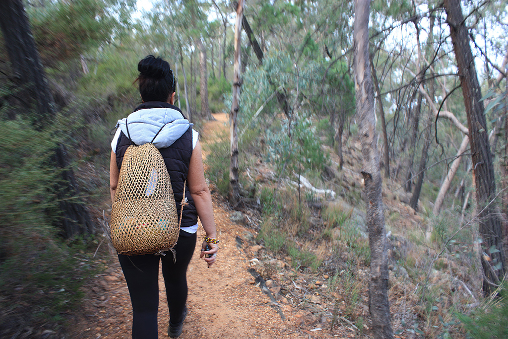 Walking in the Pilliga Scrub