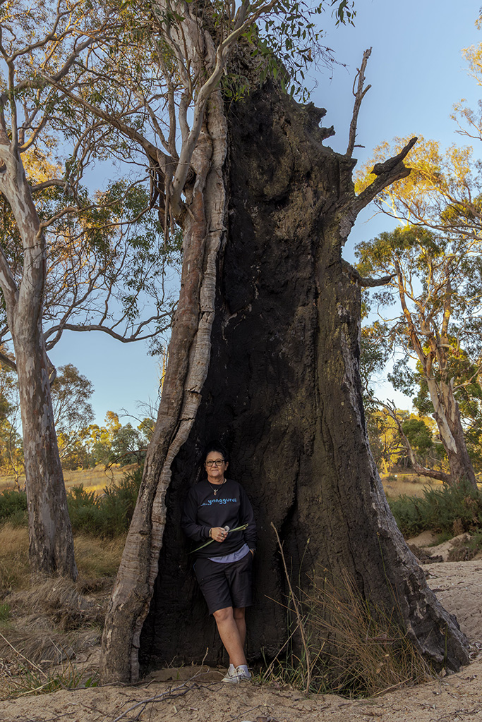Cassie in an old river red gum